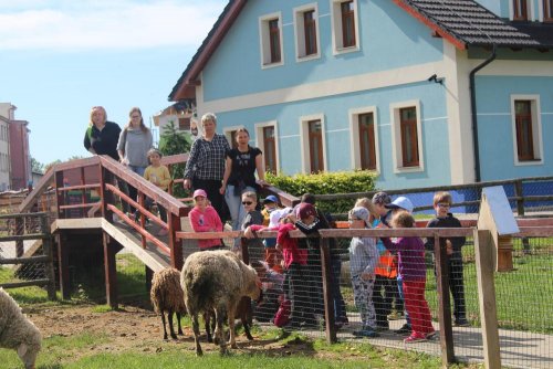 Tematická vycházka na Haldu 10  