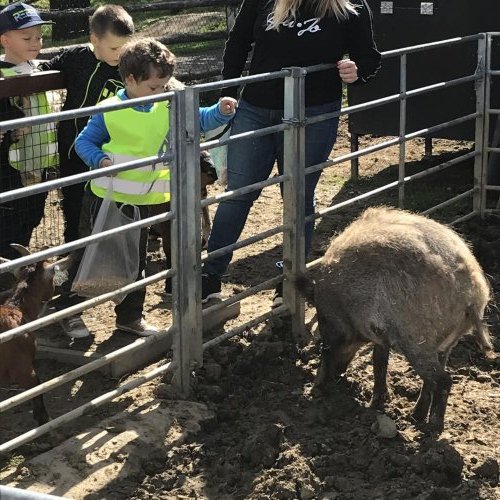 Tematická vycházka na Haldu 17  