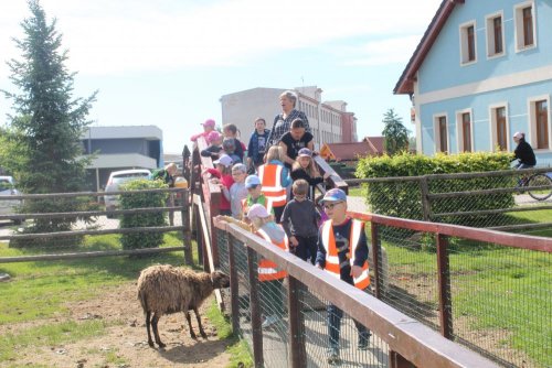 Tematická vycházka na Haldu 12  