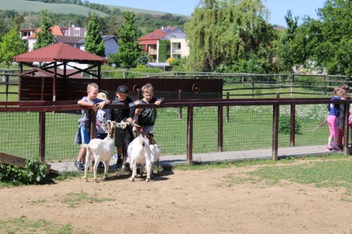 Tematická vycházka na Haldu 19  