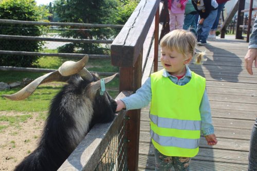 Tematická vycházka na Haldu 2 20  