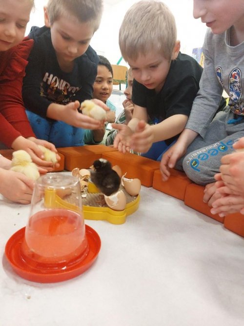 Projekt "LÍHNEME VE ŠKOLCE" 14  