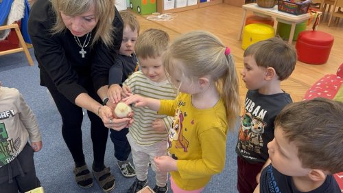 Projekt "LÍHNEME VE ŠKOLCE" 27  