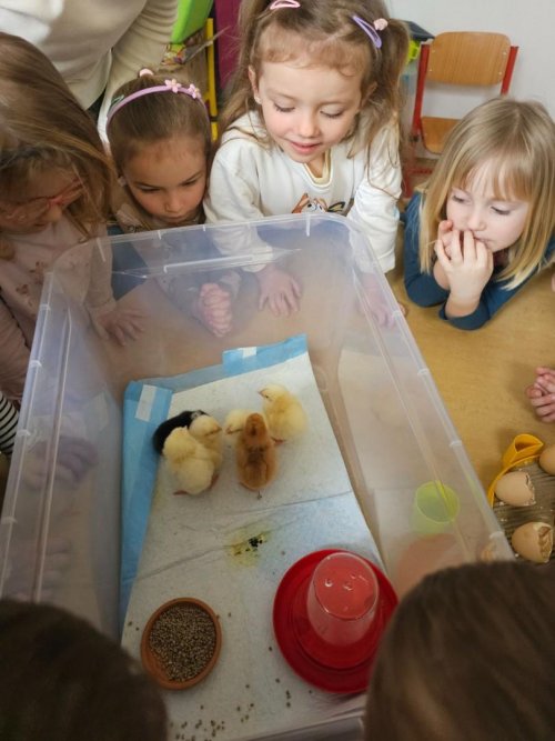 Projekt "LÍHNEME VE ŠKOLCE" 6  