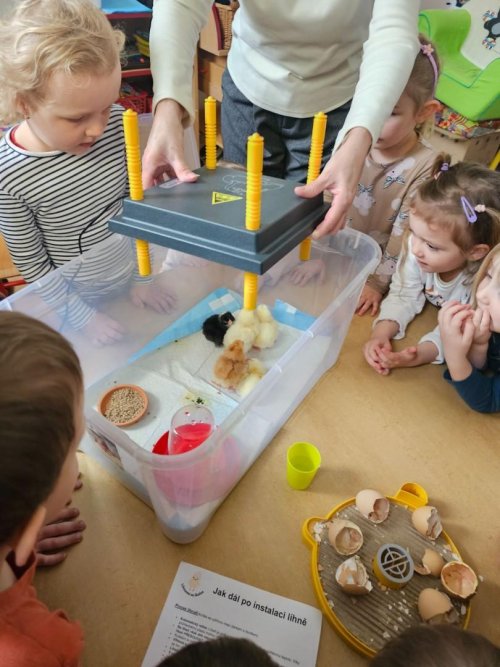 Projekt "LÍHNEME VE ŠKOLCE" 3  