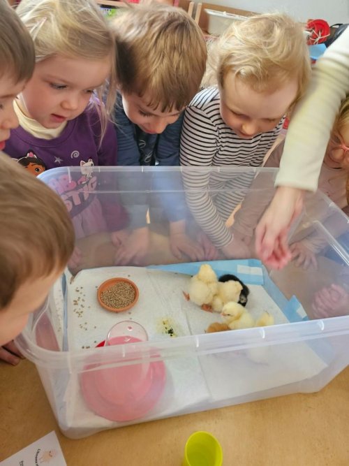 Projekt "LÍHNEME VE ŠKOLCE" 4  