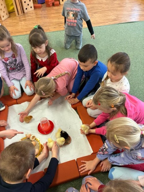 Projekt "LÍHNEME VE ŠKOLCE" 23  