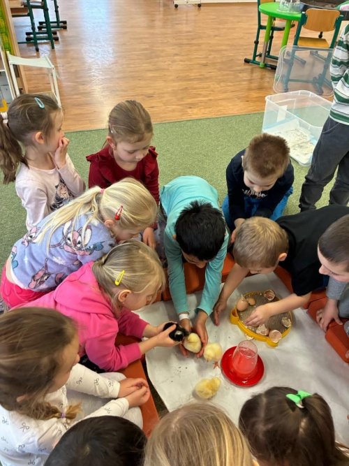 Projekt "LÍHNEME VE ŠKOLCE" 25  