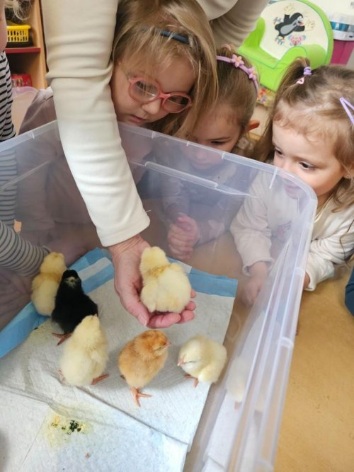 Projekt "LÍHNEME VE ŠKOLCE" 9  