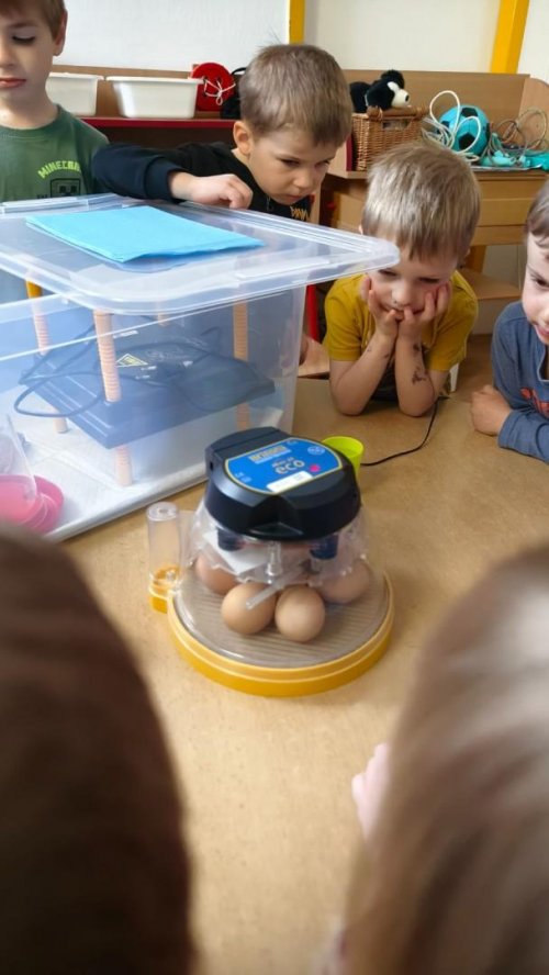 Projekt "LÍHNEME VE ŠKOLCE" 2  