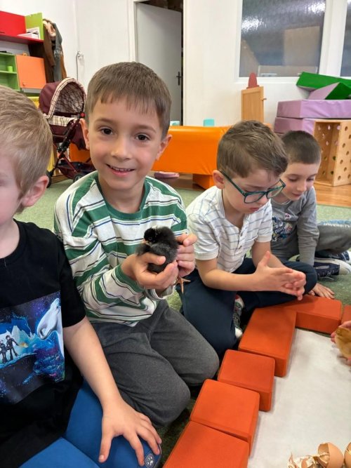 Projekt "LÍHNEME VE ŠKOLCE" 7  