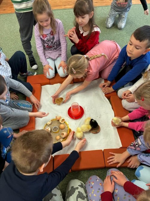 Projekt "LÍHNEME VE ŠKOLCE" 8  