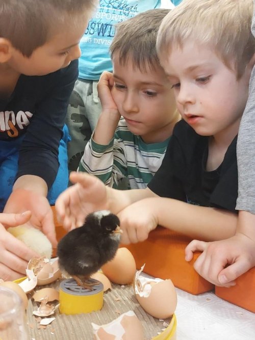 Projekt "LÍHNEME VE ŠKOLCE" 17  