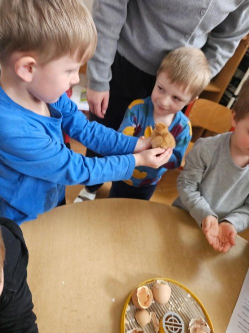 Projekt "LÍHNEME VE ŠKOLCE" 11  