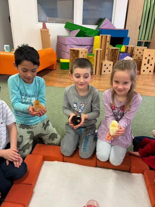 Projekt "LÍHNEME VE ŠKOLCE" 26  