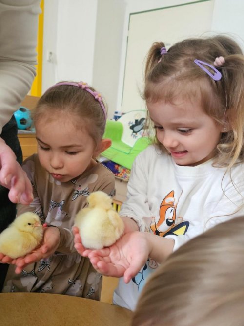 Projekt "LÍHNEME VE ŠKOLCE" 13  