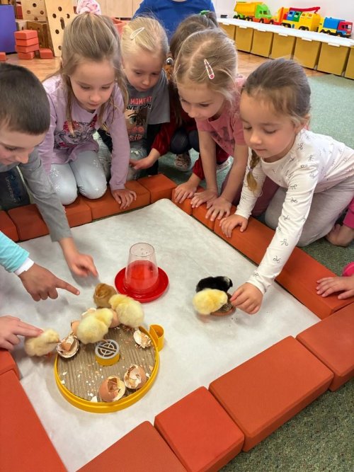 Projekt "LÍHNEME VE ŠKOLCE" 21  