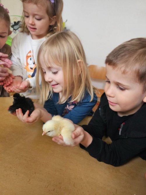 Projekt "LÍHNEME VE ŠKOLCE" 12  