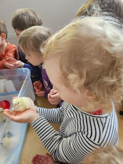 Projekt "LÍHNEME VE ŠKOLCE" 10  