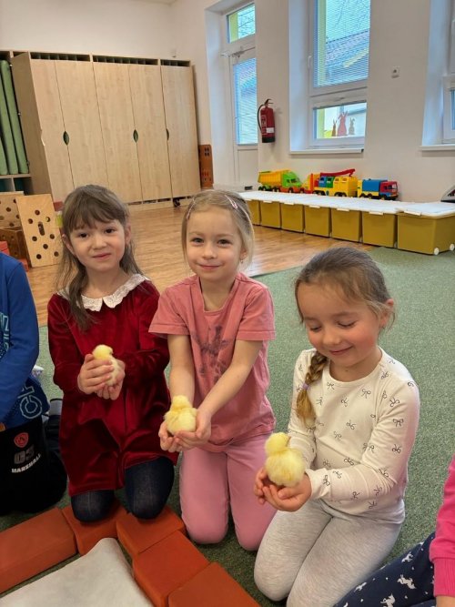 Projekt "LÍHNEME VE ŠKOLCE" 24  