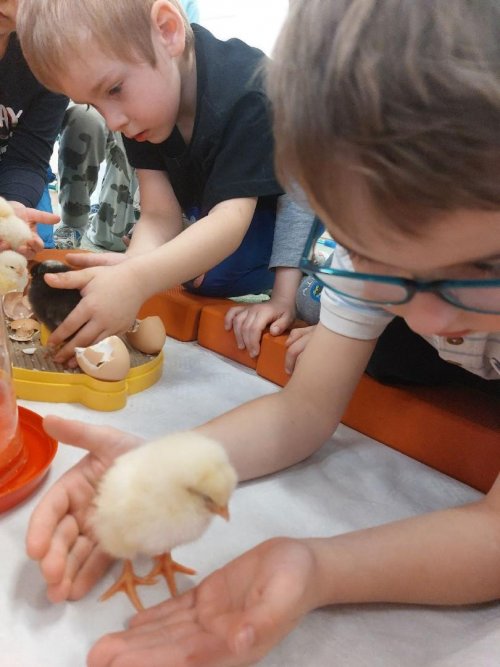 Projekt "LÍHNEME VE ŠKOLCE" 16  