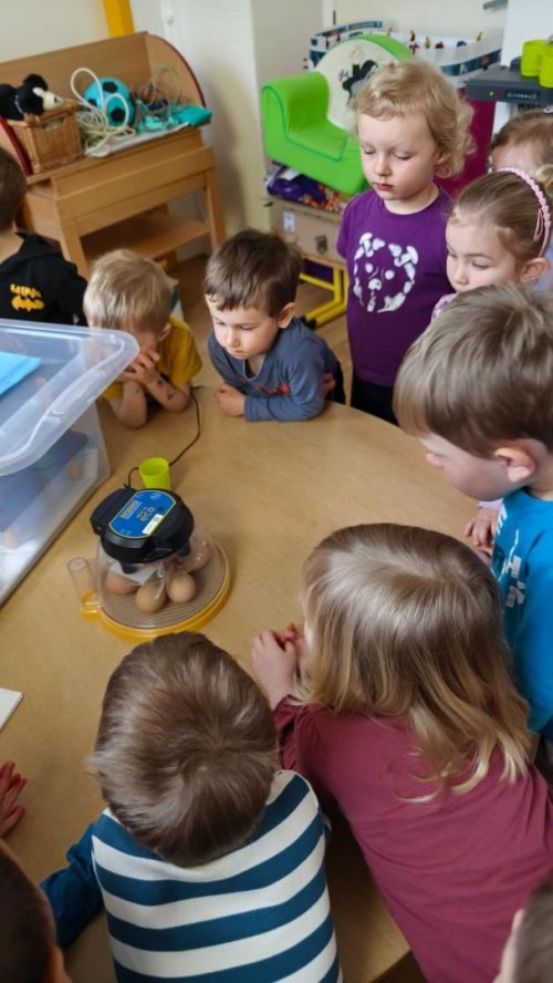 Projekt "LÍHNEME VE ŠKOLCE" 5  