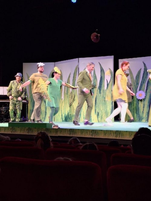 Návštěva muzikálu "Anička a bylinkové kouzlo" ve Slováckém divadle 18  